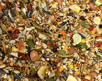 Supreme Mouse Food Blend: Natural Foraging, Seeds, Grains
