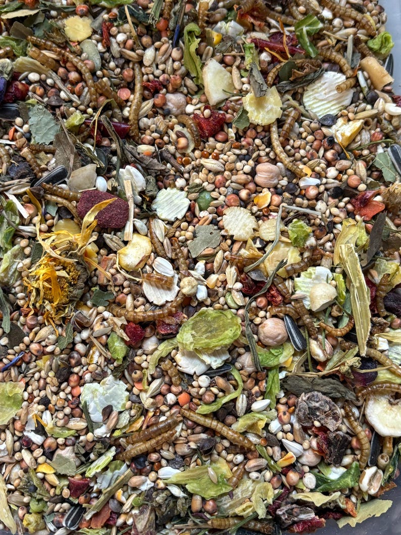 Puede incluir: Primer plano de una mezcla de alimento para aves. La mezcla incluye varias semillas, granos, frutas secas y gusanos de la harina. Los colores var&iacute;an del marr&oacute;n claro y marr&oacute;n al verde y rojo, con una variedad de texturas.