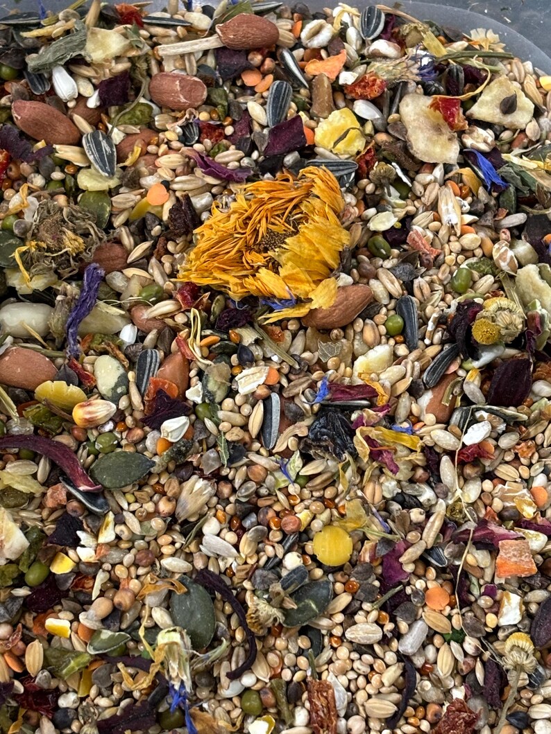 Puede incluir: Primer plano de una mezcla de semillas, frutos secos y flores secas. La mezcla incluye semillas de girasol, semillas de calabaza y varios granos, con una flor seca amarilla brillante en el centro. Producto alimenticio natural.