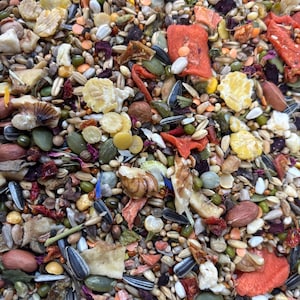 Puede incluir: Primer plano de una mezcla de semillas, frutos secos y verduras deshidratadas. La mezcla incluye semillas de girasol, calabaza y diversos granos, con trozos de verduras deshidratadas de color naranja y rojo. Mezcla para mascotas peque&ntilde;as.