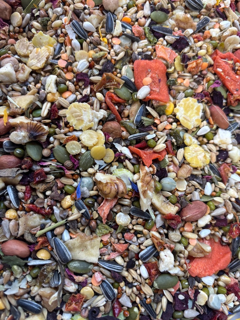 Puede incluir: Primer plano de una mezcla de semillas, frutos secos y verduras deshidratadas. La mezcla incluye semillas de girasol, calabaza y diversos granos, con trozos de verduras deshidratadas de color naranja y rojo. Mezcla para mascotas peque&ntilde;as.