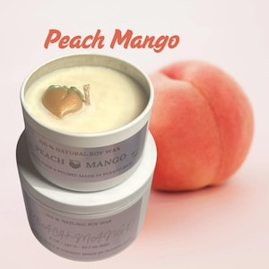 Fruity Handmade Soy Wax Candles and Melts: Fruity, Sparkly Scents, Aromatherapy,  Eco-Friendly Home Fragrance