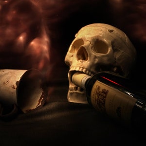 Original Photo on Wood - 8&quot; x 10&quot; - Skull and Wine - Homage to the Last Unicorn - Artist Maia Palmer