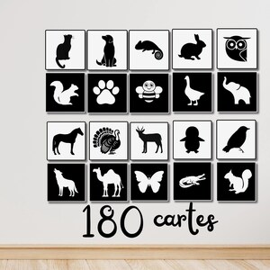 PDF 180 Cartes flash noir et blanc pour bébé