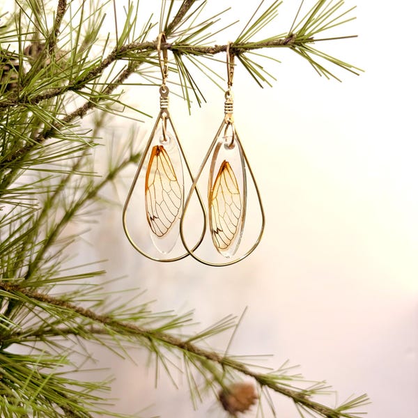 Cicada Wing Earrings