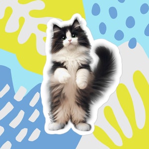 Sticker chat smoking, sticker Maine coon, sticker angora turc, sticker chat réaliste, pour bouteille d'eau, tasse de voyage, miroir, bagage, ordinateur portable
