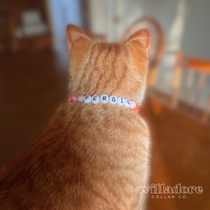以下が含まれることがあります： ピンクとオレンジのビーズの首輪をした猫のクローズアップ。首輪には白い文字で「FERGIE」と綴られています。首輪は「willadore COLLAR CO.」のものです。