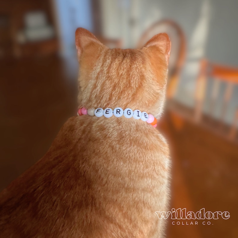以下が含まれることがあります： ピンクとオレンジのビーズの首輪をした猫のクローズアップ。首輪には白い文字で「FERGIE」と綴られています。首輪は「willadore COLLAR CO.」のものです。