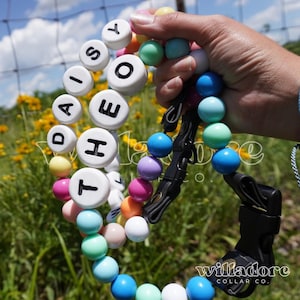 Custom Dog Friendship Collar | Personalized Beaded Dog Collar - You Choose the Colors! | Willadore Collar Co.