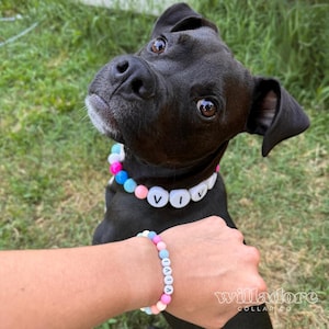 Personalized Bracelet - Match Your Dog or Cat Collar from Willadore Collar Co. (Collar sold separately!)