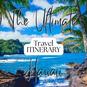 Editable Travel Itinerary Template, Canva Trip Planner, Digital Vacation & Business Schedule, Customizable Travel Agenda PDF