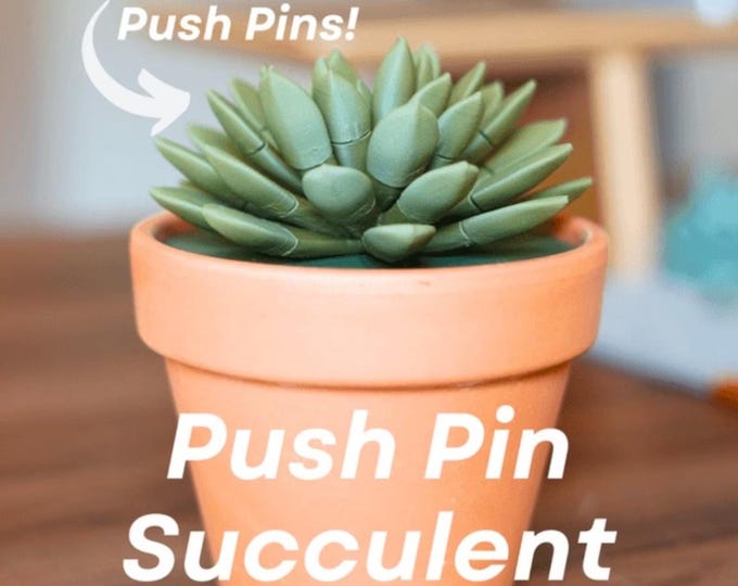 Push Pin Succulent by ForgeCore | Home Decor | Office Decor | Dorm Room Decor | School Decor | Multi Purpose