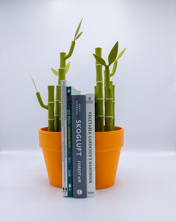 Bamboo for Home Decoration: Stylish Eco-Friendly Design Ideas