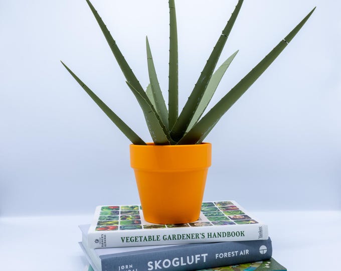 Aloe Vera Pen Plant by ForgeCore | House Plant | Home Decor | Dorm | Teacher | Classroom