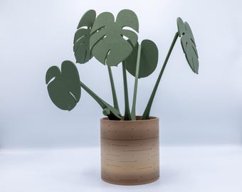 Monstera Coaster Plant by ForgeCore | House Plant | Home Decor | Dorm | Kitchen | Dining