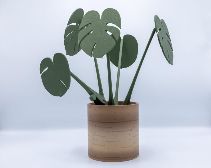 Monstera Coaster Plant by ForgeCore | House Plant | Home Decor | Dorm | Kitchen | Dining
