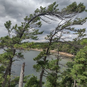 Puede incluir: Una vista desde un acantilado rocoso con vistas a un lago con un cielo nublado. Los árboles en primer plano son altos y delgados con agujas verdes. El lago está tranquilo y azul.