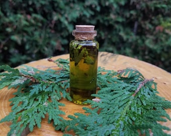 Cedar Forest essential oil infusion
