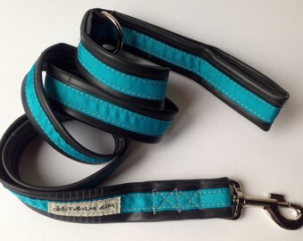 Leash- Turquoise