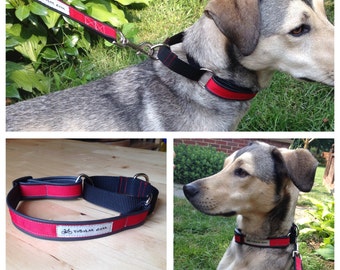 Martingale Dog Collar-Upcycled bike inner tube