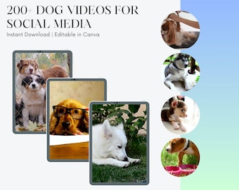 Dog Videos for Social Media: 200+ Editable Reels (Digital Download)