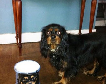 Tattoo Ceramic dog treat Canister COCKER SPANIEL all breeds COOKIE Jar custom any breed large