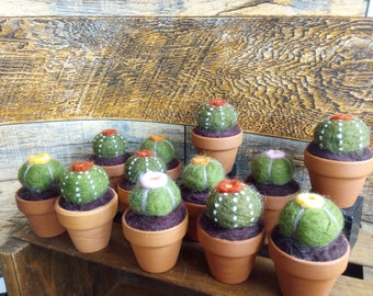 Felted Cactus/ tiny cactus/ needle felted cactus/ wool cactus/ cactus gift/ needle felted wool/ natural gift/ potted plant/ potted cactus