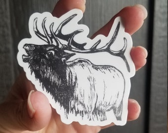 Montana Elk Sticker