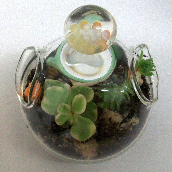 Handblown Glass Terrarium