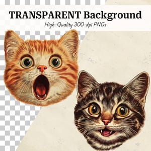 May include: Two cat illustrations with transparent backgrounds. One cat is orange and white with a surprised expression and open mouth. The other cat is brown and gray with a smiling expression. Text at the top reads "TRANSPARENT Background" and "High-Quality 300-dpi PNGs."