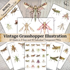 Vintage Grasshopper Illustration: Ephemera Fussy Cut Bundle (Digital Download)