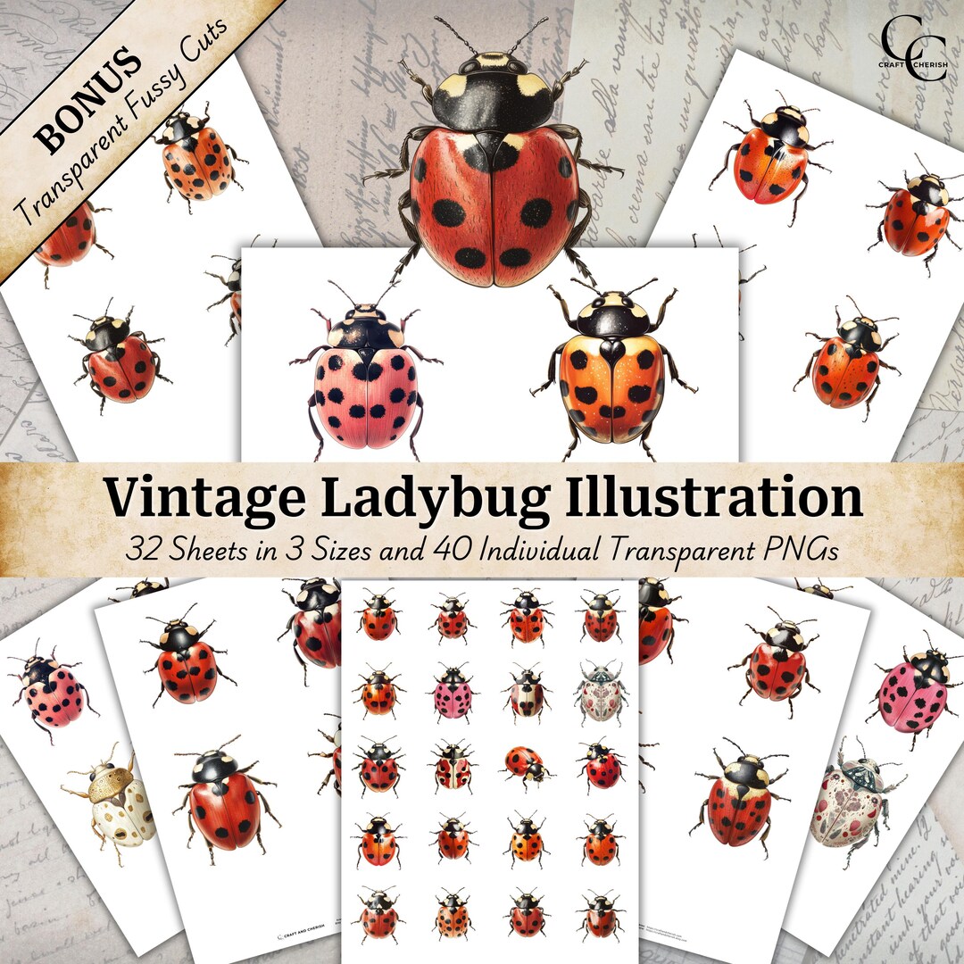 Vintage Ladybug Illustration: PNG Clipart Collage Bundle (digital ...