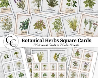 May include: A collection of botanical herb square cards with illustrations of various herbs, including basil, rosemary, and chives. The cards are arranged in a grid, with each herb labeled. The text "Botanical Herbs Square Cards" is displayed.