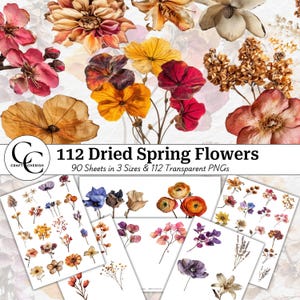 112 imágenes de flores prensadas secas, colores de primavera, recortes de flores decorativas, paquete PNG transparente con cortes botánicos, collage imprimible, CU