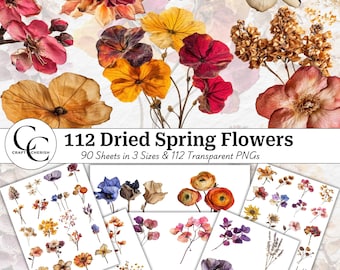 Spring Dried Flower Images: Botanical PNG Cutouts (Digital Download)