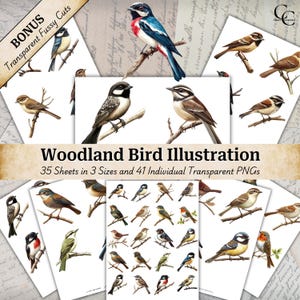 41 bosvogelkunst, handgetekende vogelillustratie kortstondige bladen, kieskeurig gesneden transparante png-bundel, papercraft-collage digitaal afdrukbaar