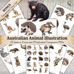 29 Australian Animal Illustration, Aussie Animal Clipart, Vintage Ephemera Sheets, Transparent Fussy Cut PNGs, Digital Download Sheets, CU