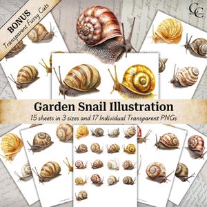17 Illustration d'escargot de jardin, clipart escargot de terre, feuilles éphémères vintage, PNG transparents de coupe difficile, journalisation indésirable, téléchargement numérique, CU