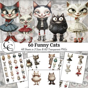 60 Imagens de gatos engraçados e caprichosos, pacote transparente de PNG de gato estrela peculiar, colagem de papel para impressão, diário de lixo, scrapbooking