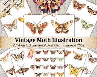 May include: A collection of vintage moth illustrations in various sizes and colors. The image includes individual transparent PNGs and the text "Vintage Moth Illustration". The moths are in shades of brown, orange, yellow, and green.