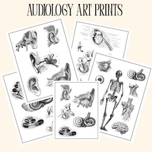 Può includere: Una collezione di stampe artistiche con illustrazioni anatomiche dettagliate dell'orecchio, delle strutture dell'orecchio interno e di uno scheletro umano. Le stampe sono in bianco e nero, con il testo "AUDIOLOGY ART PRINTS" in alto.