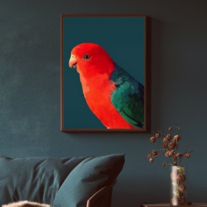 Charles the King Parrot, Art Print, DIGITAL DOWNLOAD, printable bird art, Australian native, Australian parrot, colorful bird print
