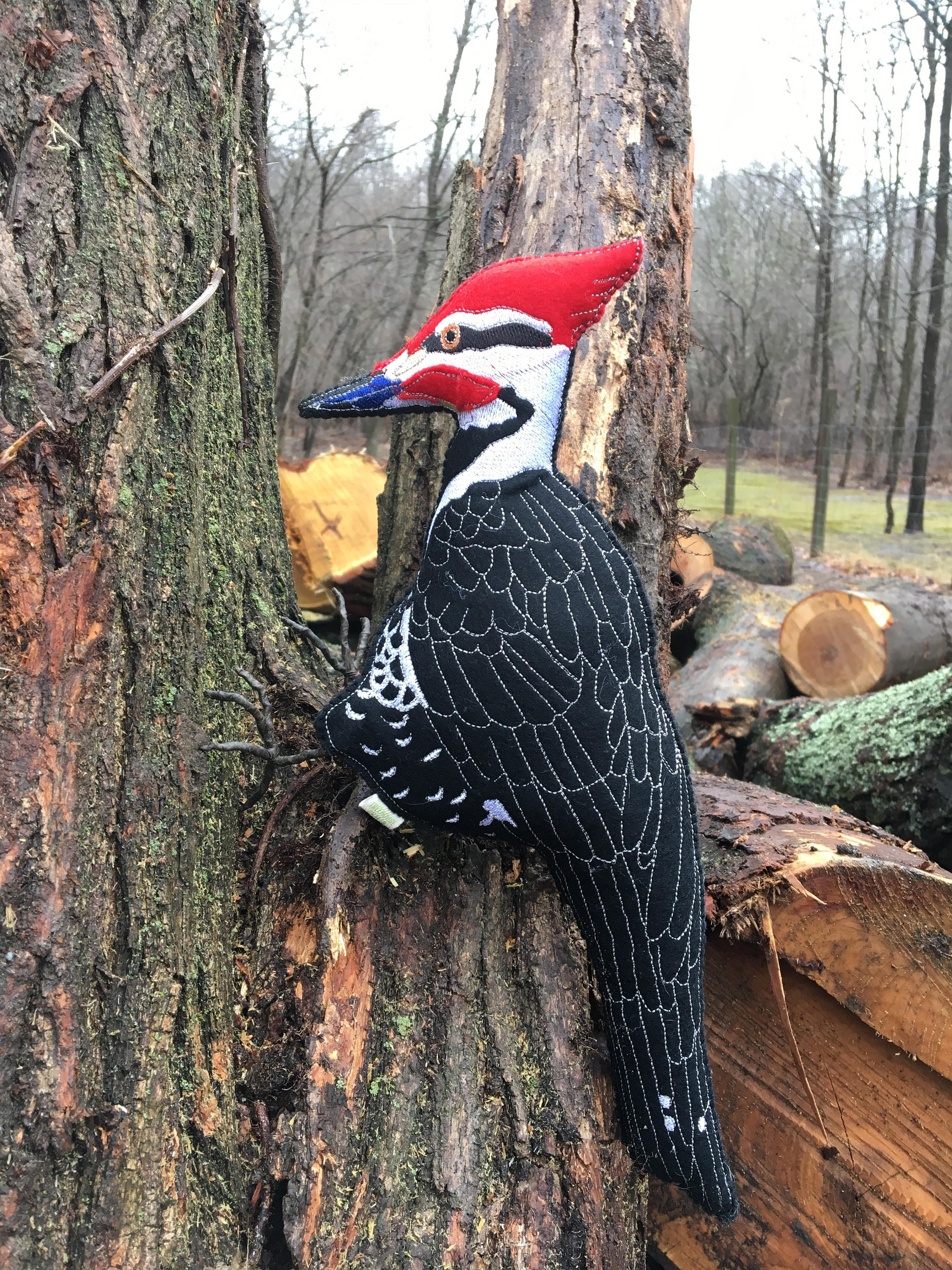 Embroidered Pileated Woodpecker, Felt Woodpecker, Woodpecker Sculpture,  Fiber Art Bird, Gift for Bird Lover, Bird Embroidery
