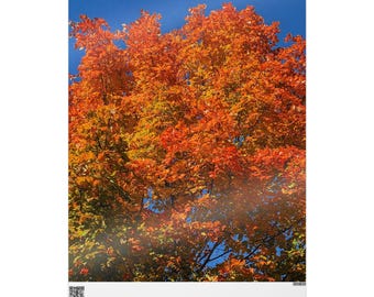 Inpakpapier herfstboom, herfstverjaardagscadeaupapier