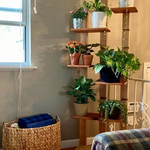 Modular Elm & Maple Plant Stand – Customizable Shelf System with Natural Wood Features
