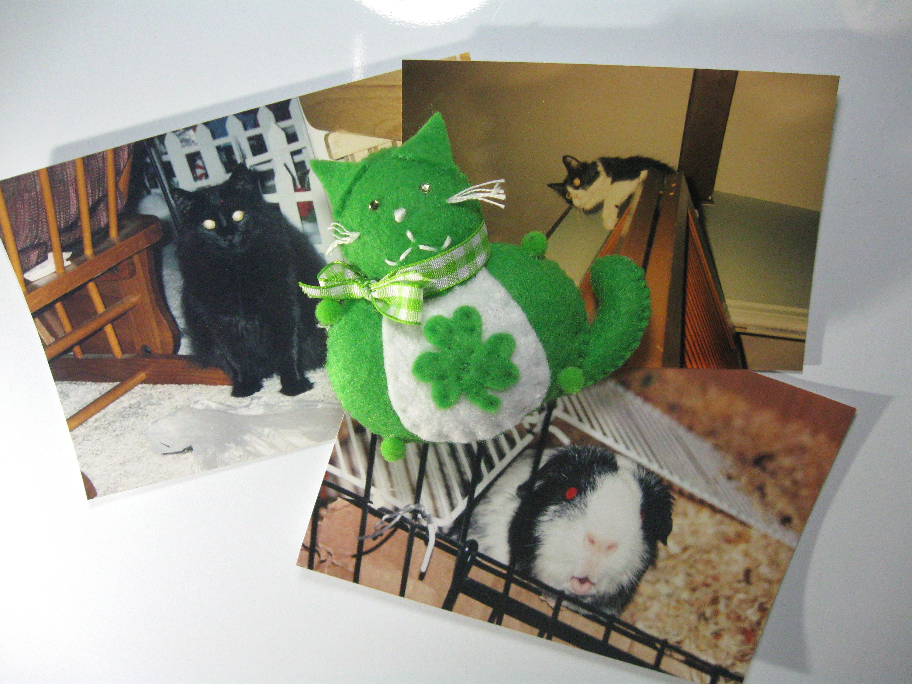 cute fridge magnet st