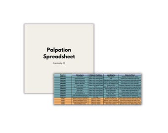 Anatomie Struktur Palpation Tabelle