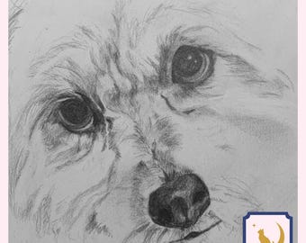Custom Pet Portrait