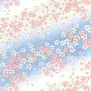 May include: A blue and white background with a pattern of pink and white cherry blossoms. The background fades from a light blue to white.