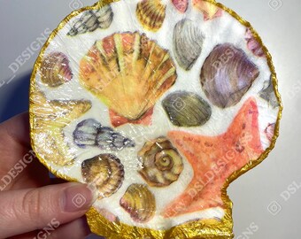 Multicolor Shell Jewelry Dish
